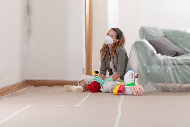 Reliable Mold Remediation contractor in Eagle, MI by WQB Mold Removal